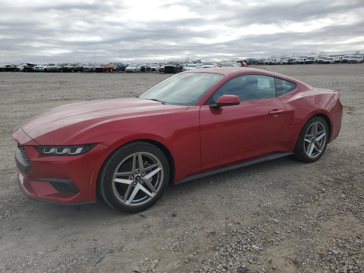 2024 FORD MUSTANG  VIN:1FA6P8TH2R5118823