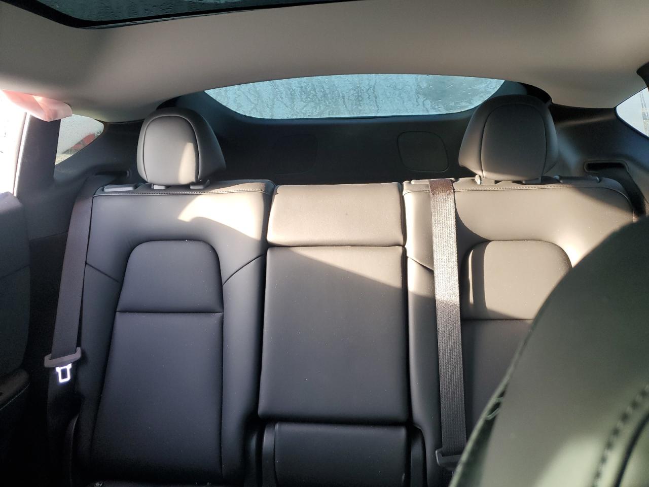 2023 TESLA MODEL Y  VIN:7SAYGDEEXPA118272