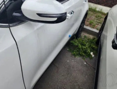 2019 Kia Sportage KNAPL812GKK565456 VIN:KNAPL812GKK565456