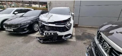2022 Kia Sportage KNAPX81GBNK007922 VIN:KNAPX81GBNK007922