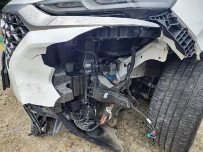 2019 Hyundai Santa FE KMHS381BBKU168509 VIN:KMHS381BBKU168509