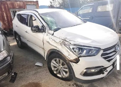 2018 Hyundai Santa FE KMHSW81UBJU801350 VIN:KMHSW81UBJU801350