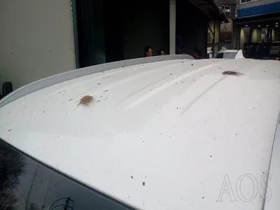 2021 Hyundai Santa FE KMHS381HGMU336284 VIN:KMHS381HGMU336284