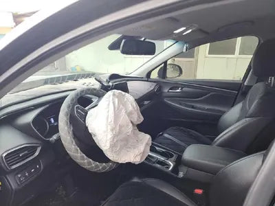 2019 Hyundai Santa FE KMHS281BBKU173540 VIN:KMHS281BBKU173540