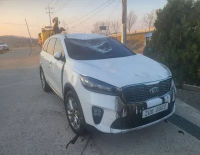 2020 Kia Sorento KNAPS81ABLA576747 VIN:KNAPS81ABLA576747
