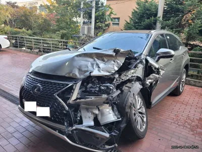 2021 Lexus RX 450 JTJBGMCA1M2063003 VIN:JTJBGMCA1M2063003