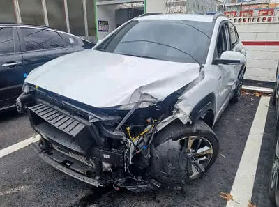 2019 Hyundai Kona KMHK7815GKU410623 VIN:KMHK7815GKU410623