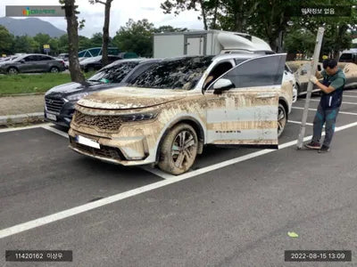 2022 Kia Sorento KNARK81GBNA102372 VIN:KNARK81GBNA102372