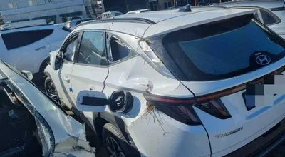 2021 Hyundai Tucson KMHJE811BMU009800 VIN:KMHJE811BMU009800