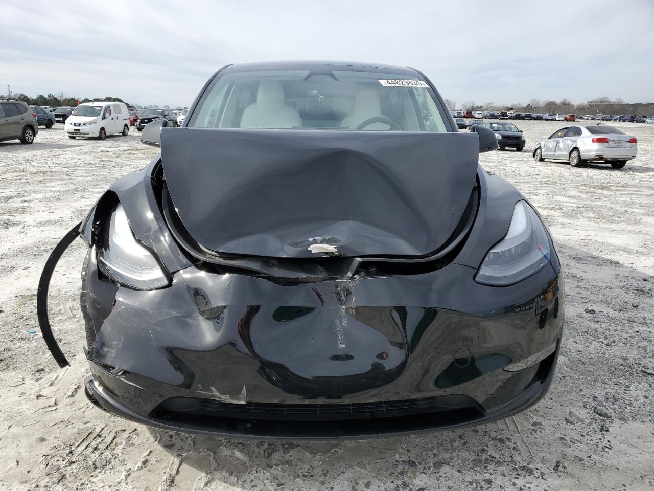 2023 TESLA MODEL Y  VIN:7SAYGDEE6PF893431