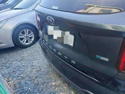 2021 Kia Sorento KNARK81GBMA040541 VIN:KNARK81GBMA040541