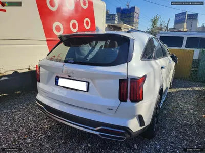 2023 Kia Sorento KNARJ81FHPA210454 VIN:KNARJ81FHPA210454