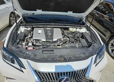 2021 Lexus ES 300 JTHBA1C19M2001155 VIN:JTHBA1C19M2001155