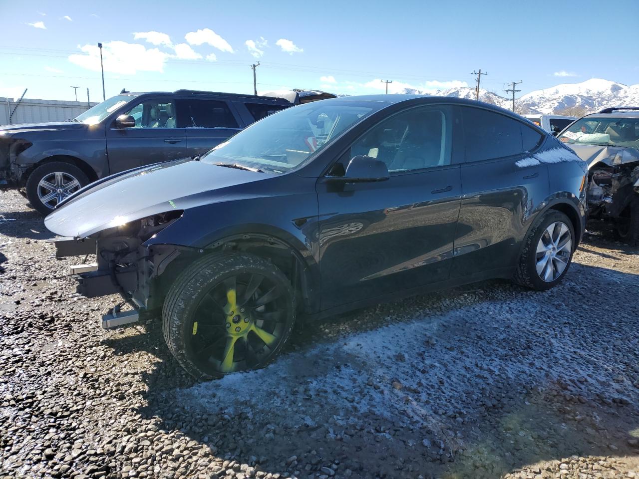 2024 TESLA MODEL Y  VIN:7SAYGDEE8RA234184