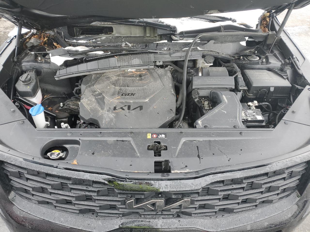2022 KIA TELLURIDE SX VIN:5XYP5DHC0NG193399