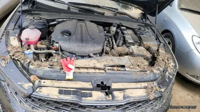 2022 Kia K5 KNAG241ABNA156943 VIN:KNAG241ABNA156943