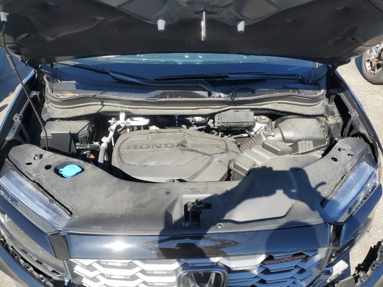 2023 HONDA PASSPORT TRAIL SPORT VIN:5FNYF8H65PB018465