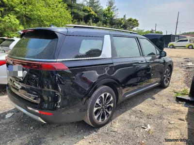 2020 Kia Carnival KNANC81BBMS039848 VIN:KNANC81BBMS039848