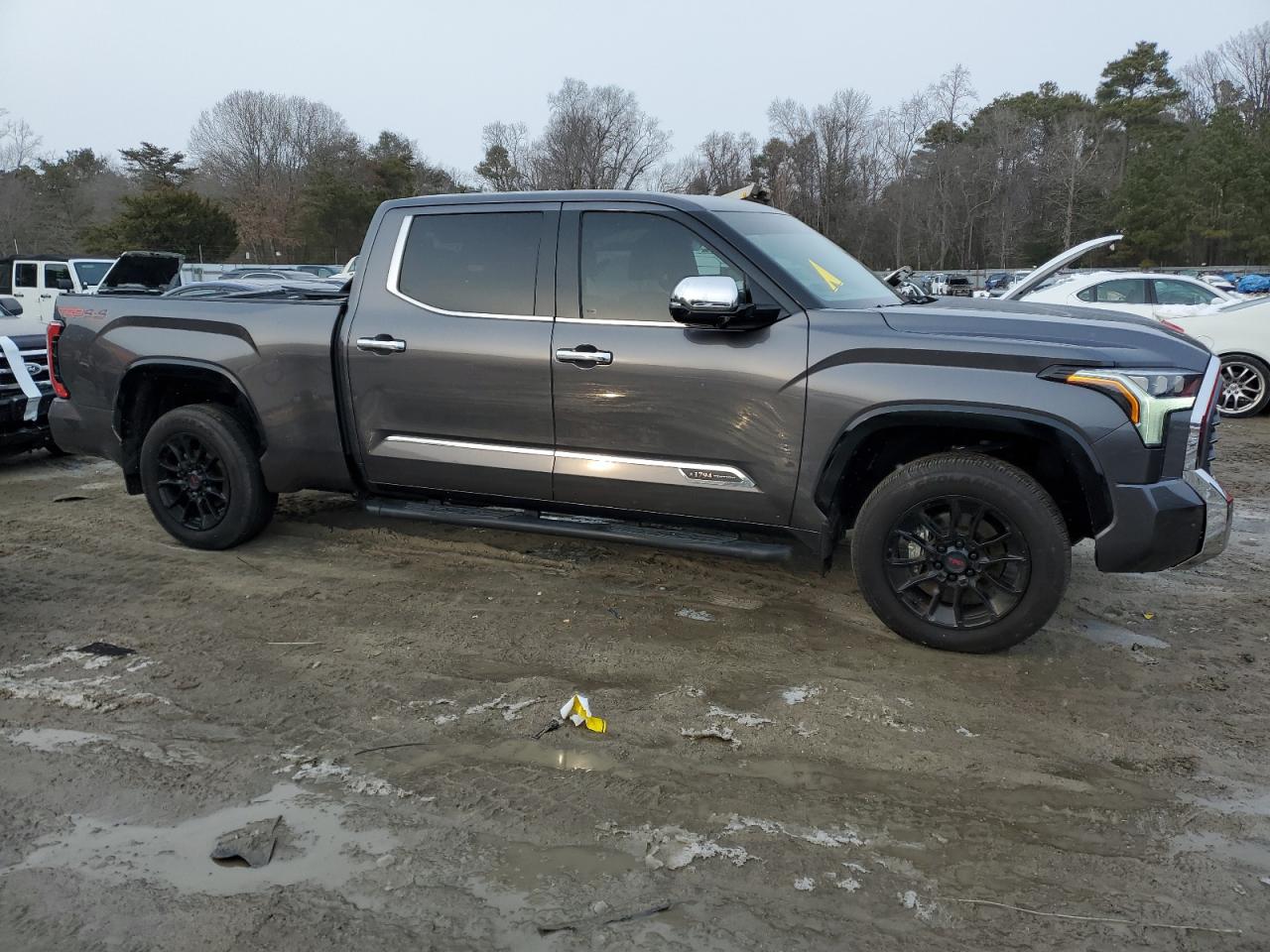 2023 TOYOTA TUNDRA CREWMAX PLATINUM VIN:5TFMA5EC6PX013383