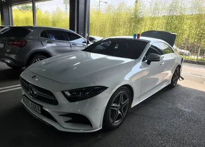 2020 Mercedes-Benz CLS 300 WDD2J1JBXLA053692 VIN:WDD2J1JBXLA053692