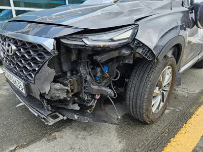 2020 Hyundai Santa FE KMHS281BBLU255970 VIN:KMHS281BBLU255970