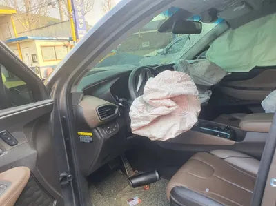 2019 Hyundai Santa FE KMHS381BBKU046289 VIN:KMHS381BBKU046289