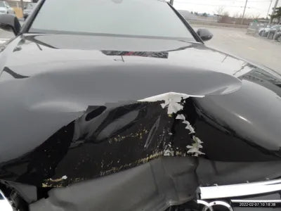 2017 Audi 50 WAUZZZ4GXHN022219 VIN:WAUZZZ4GXHN022219