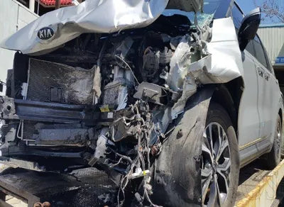 2021 Kia Carnival KNANB81BBMS068342 VIN:KNANB81BBMS068342