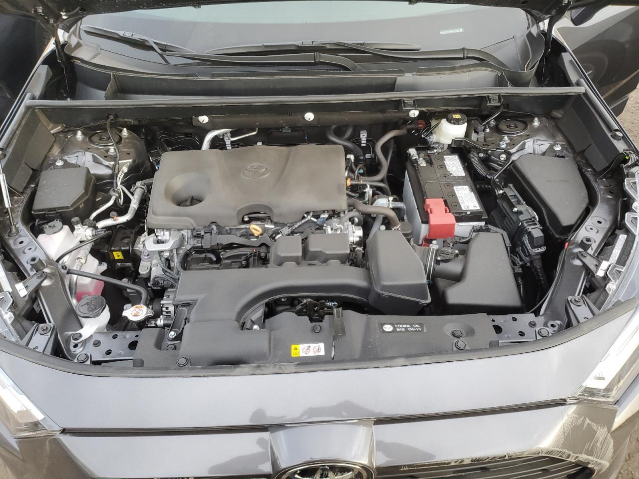 2024 TOYOTA RAV4 XLE VIN:2T3P1RFV0RC479999