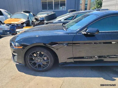 2019 Ford Mustang VIN: