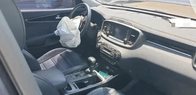 2017 Kia Sorento KNAPS81BBJA425950 VIN:KNAPS81BBJA425950