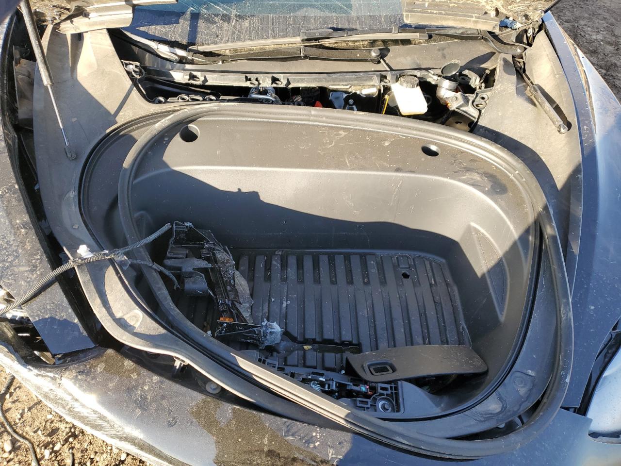 2023 TESLA MODEL 3  VIN:1GCNCPEC1FZ384531