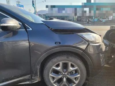 2016 Kia Sorento KNAPS81ABGA187600 VIN:KNAPS81ABGA187600