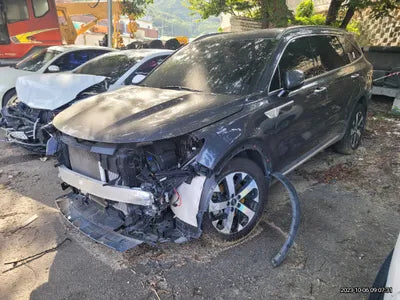2021 Kia Sorento KNARH81BGMA100573 VIN:KNARH81BGMA100573