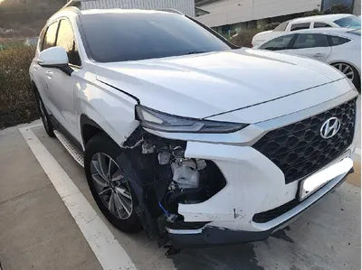 2019 Hyundai Santa FE KMHS281CBKU107302 VIN:KMHS281CBKU107302