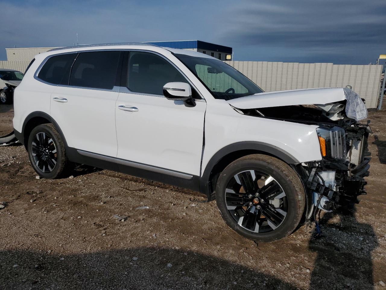 2024 KIA TELLURIDE SX VIN:5XYP5DGCXRG502822