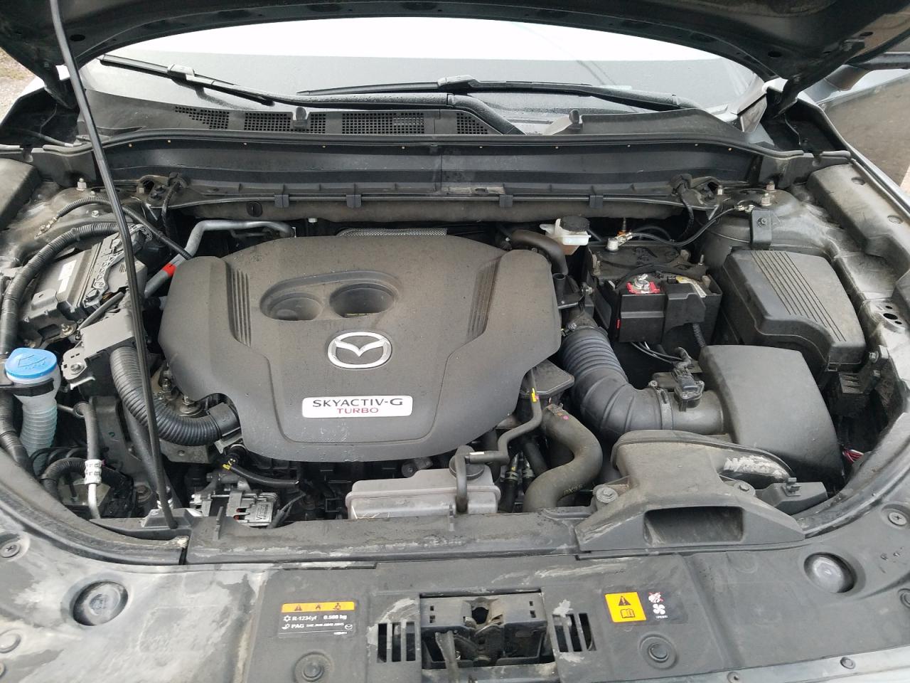 2023 MAZDA CX-5 SIGNATURE VIN:JM3KFBEY1P0282264