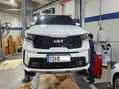 2022 Kia Sorento KNARL81GBNA123462 VIN:KNARL81GBNA123462