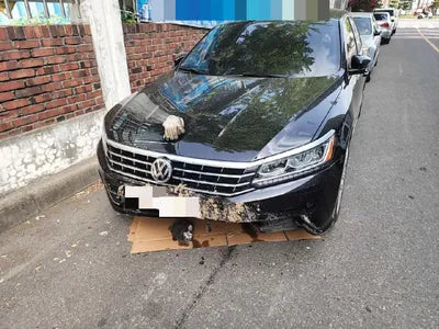2018 Volkswagen Passat 1VWZZZA3ZJC045356 VIN:1VWZZZA3ZJC045356