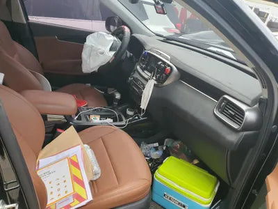 2019 Kia Sorento KNAPS81ABLA614119 VIN:KNAPS81ABLA614119