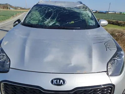 2017 Kia Sportage NONE VIN: