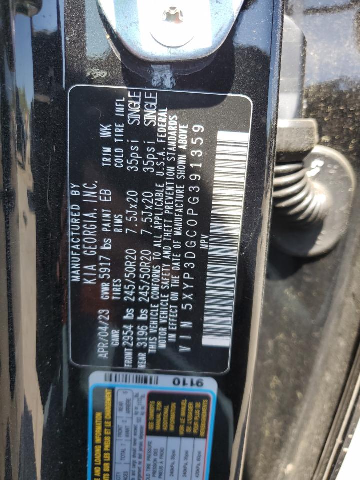 2023 KIA TELLURIDE EX VIN:5XYP3DGC0PG391359