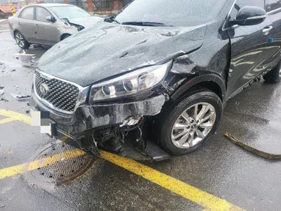 2017 Kia Sorento KNAPS81ABHA319110 VIN:KNAPS81ABHA319110