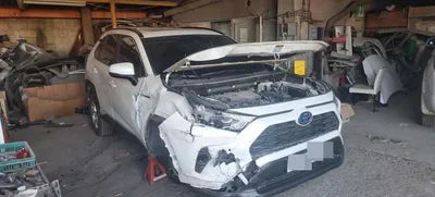 2019 Toyota RAV4 JTMW2RFV8KD024893 VIN:JTMW2RFV8KD024893