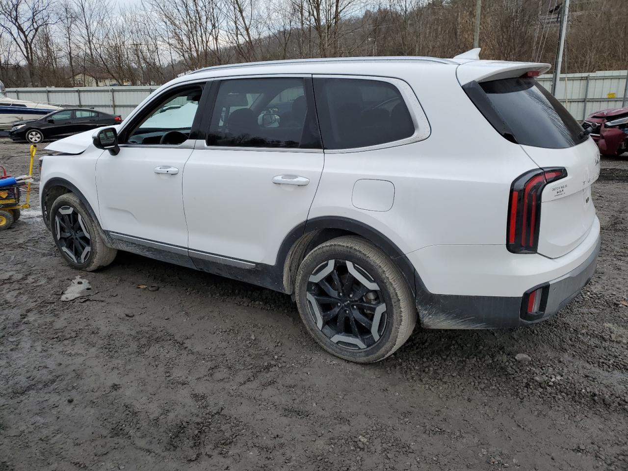 2024 KIA TELLURIDE EX VIN:5XYP34GCXRG413208