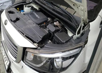 2017 Kia Carnival 318KMKNAME81ABHS3 VIN:318KMKNAME81ABHS3