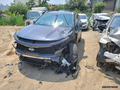 2020 Kia Sorento KNARL81BGMA010120 VIN:KNARL81BGMA010120