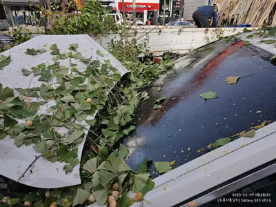 2018 BMW 520 354KMWBAJC3102JDB VIN:354KMWBAJC3102JDB