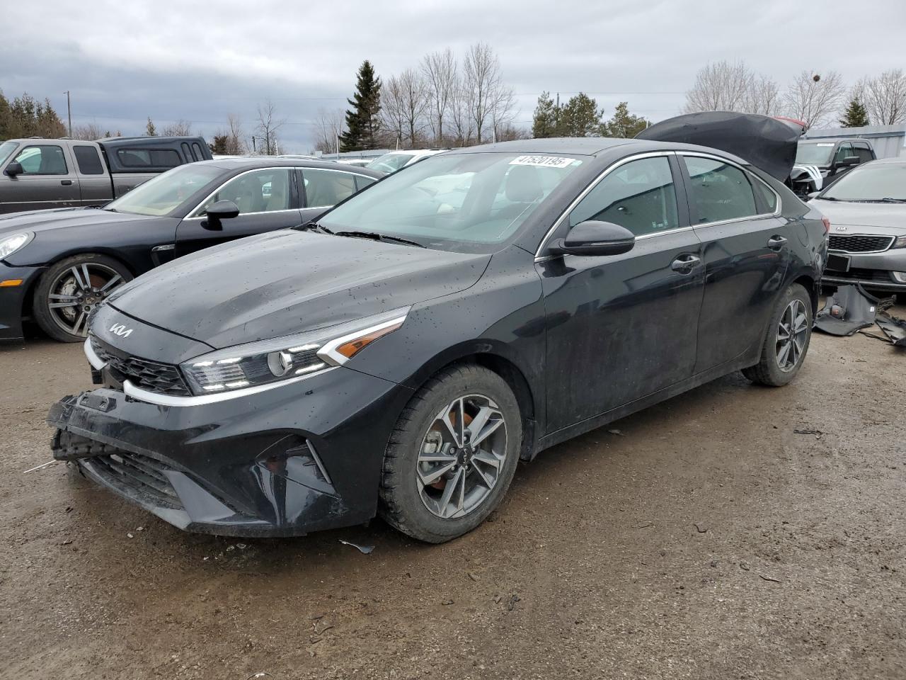 2023 KIA FORTE EX VIN:3KPF34AD1PE626264
