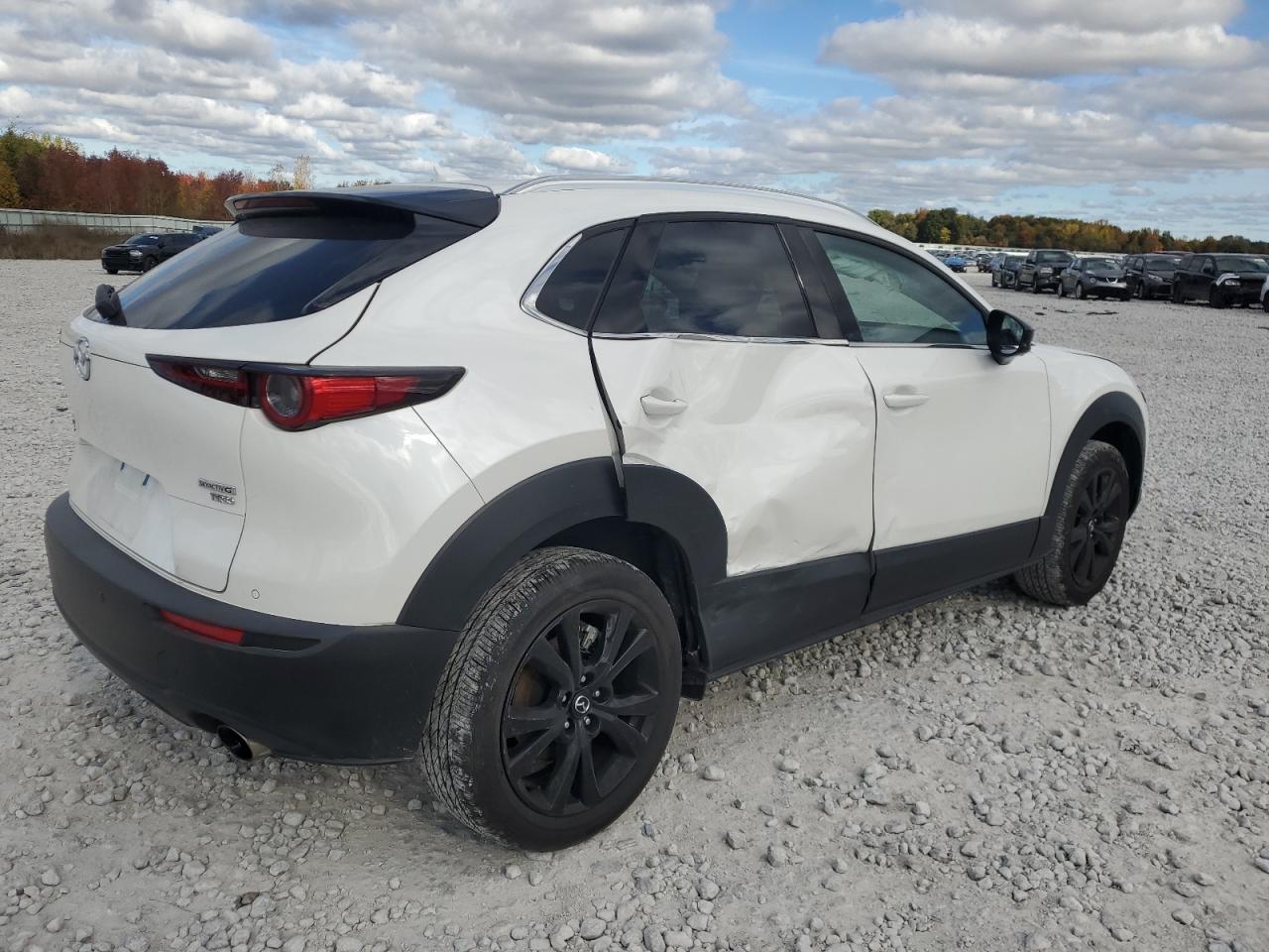 2023 MAZDA CX-30 PREMIUM PLUS VIN:3MVDMBEY8PM588638